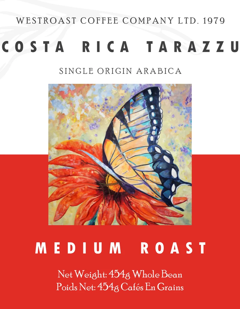 Costa Rica Tarrazu Filter Coffee