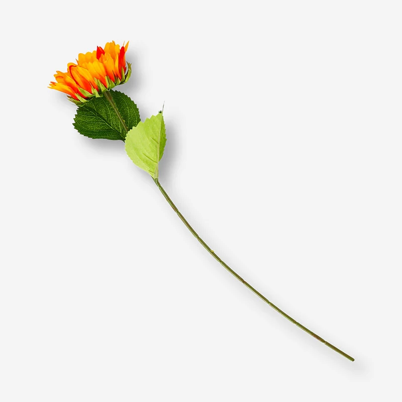 Decorative flower - Sunflower