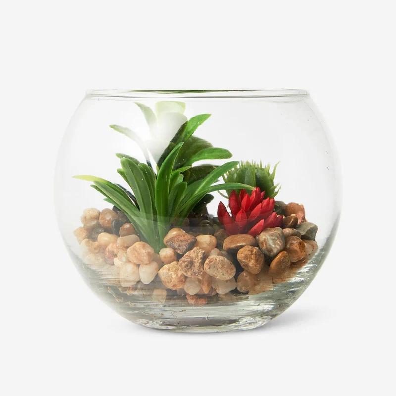 Terrarium