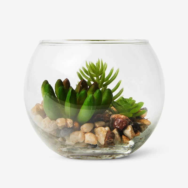 Terrarium