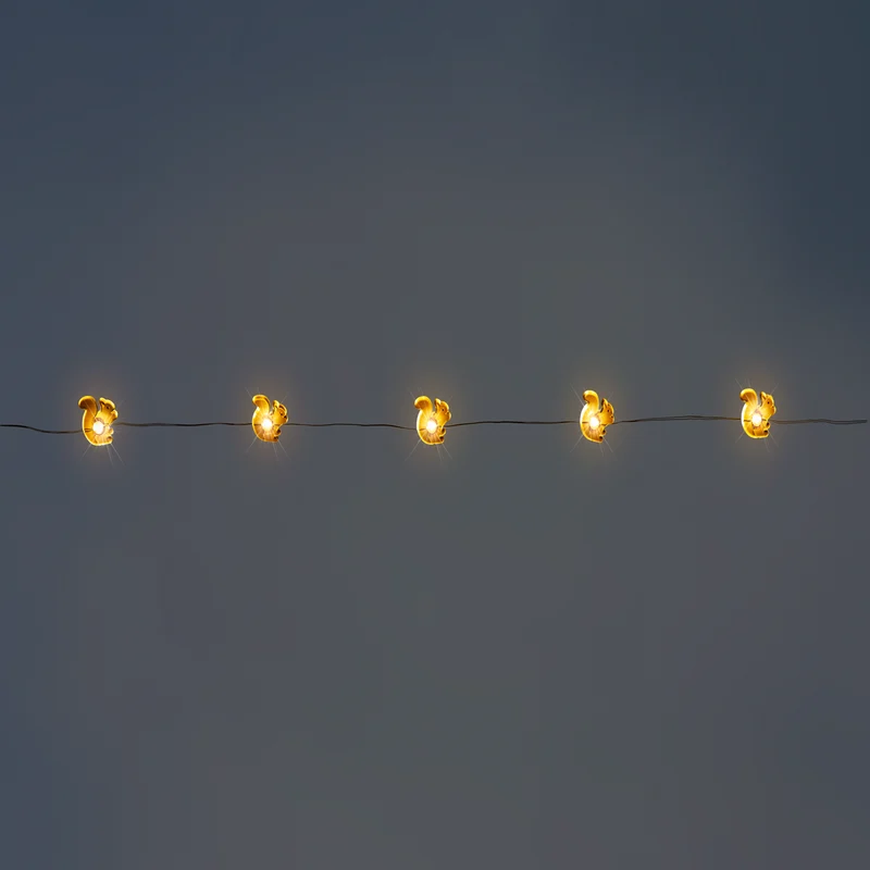 String lights - Brown squirrels