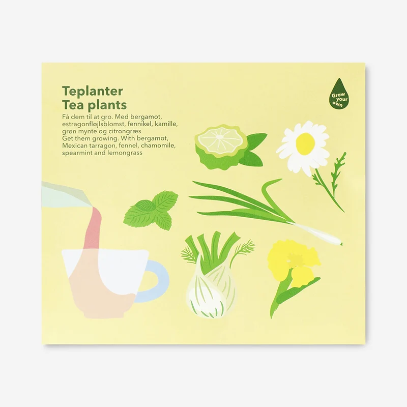 Tea plants grow kit - Bergamot, Mexican tarragon, fennel, chamomile, spearmint and lemongrass