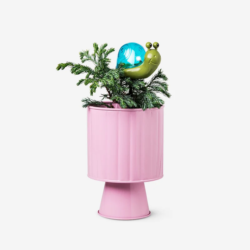 Solar cell snail lamp