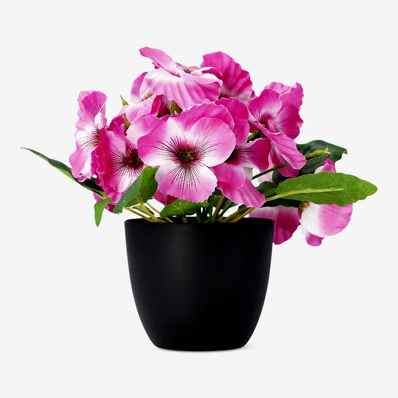 Decorative plant with flowers - 20 cm