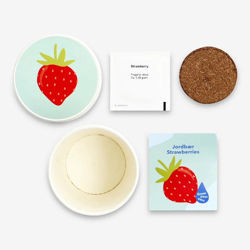 Grow kit - Strawberries