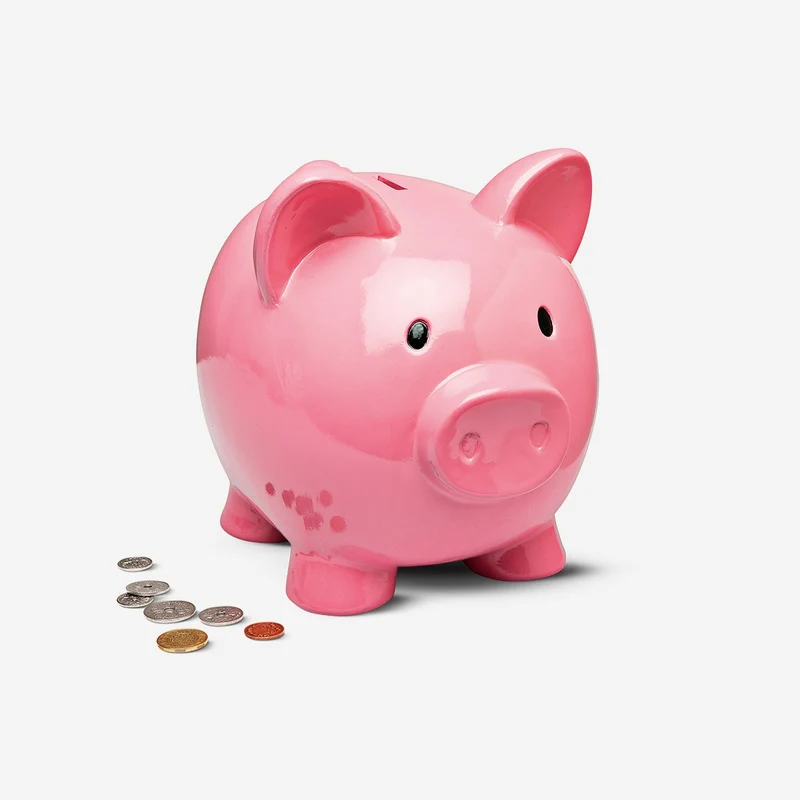 Giant pink piggy bank - 30 cm