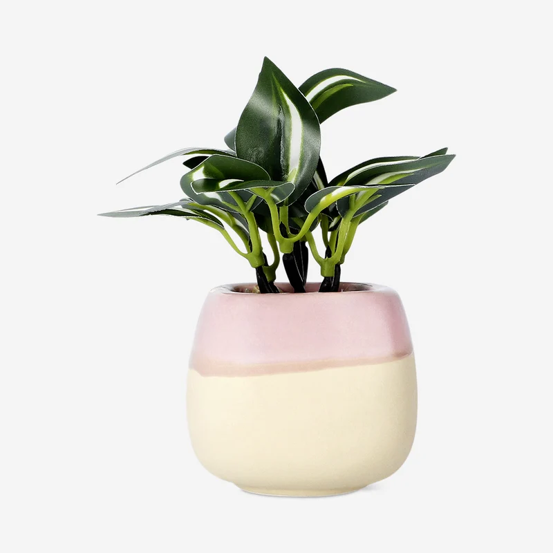 Faux succulent in pink ceramic pot