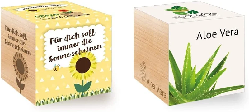 Feel Green Celebrations Ecocube, Semi di Girasole bio, cubo di Legno con Incisione Laser für Dich Soll Immer Die Sonne Scheinen, Idea Regalo sostenibile, Set di Coltivazione, Made in Austria