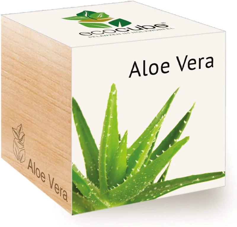 Feel Green Ecocube Margerite, Idea Regalo sostenibile (100% Eco Friendly), Grow Your Own/Set di Coltivazione, Piante nel Dado in Legno, Made in Austria