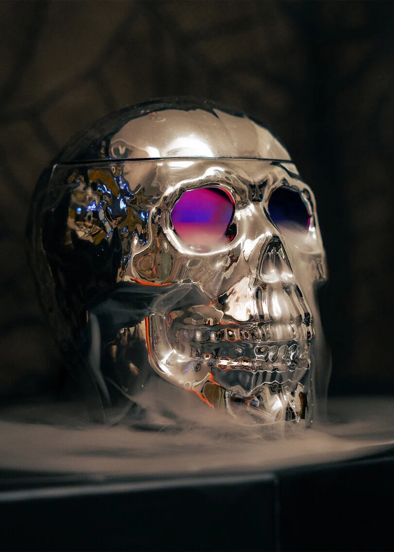Skull fog machine with light