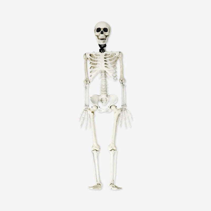 Decorative skeleton for hanging - 85 cm