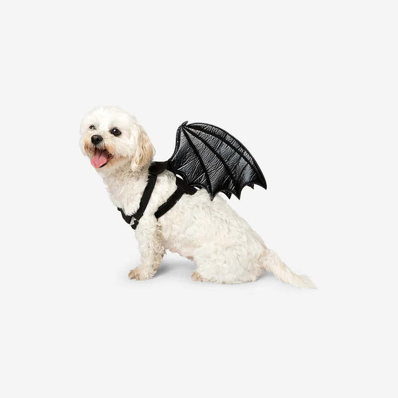 Pet costume - Bat wings