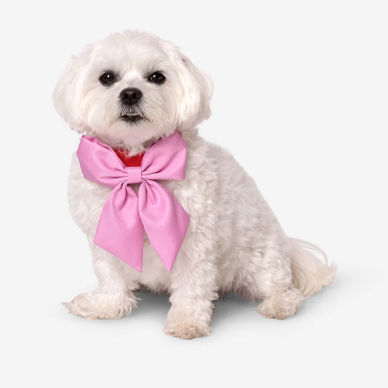Adjustable pet collar with bow