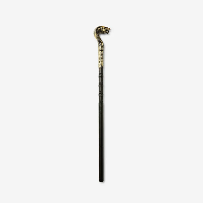 Steaming sceptre with light