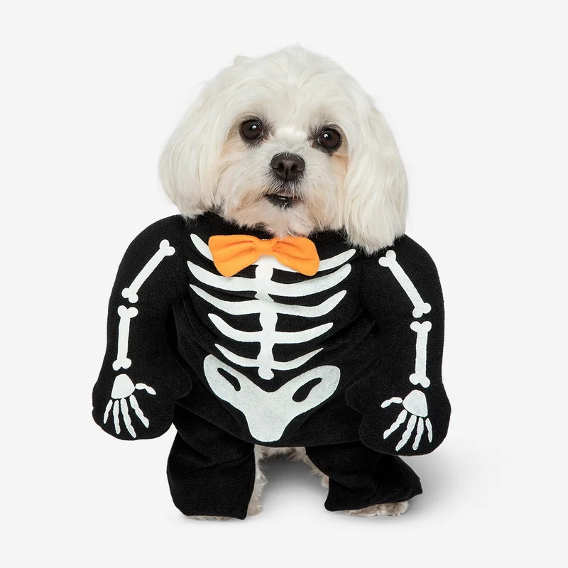 Pet costume - Glow in the dark skeleton