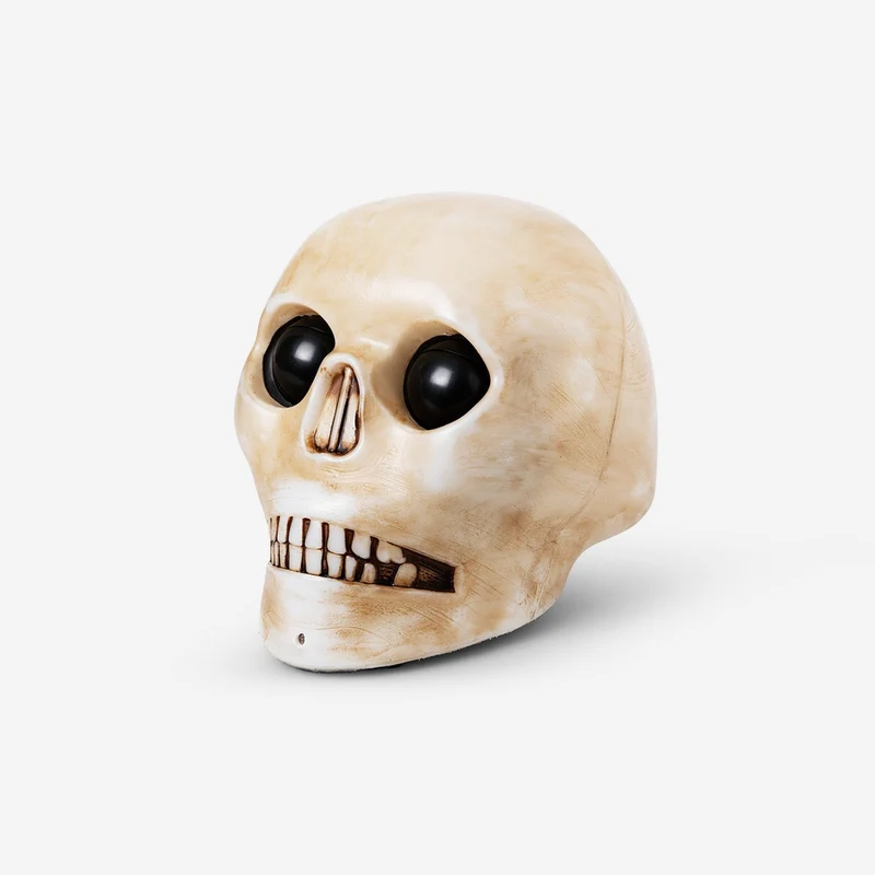 Haunted skull