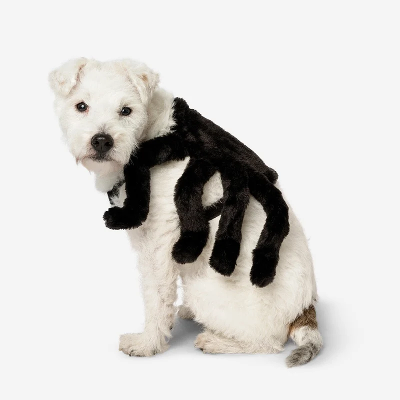 Costume. For pets