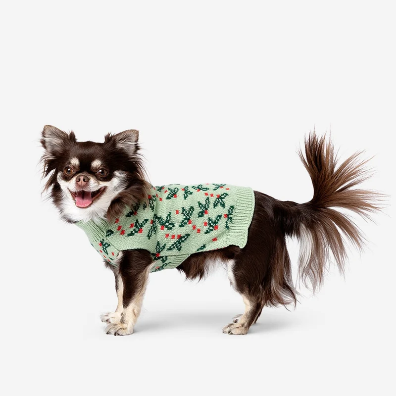 Dog sweater
