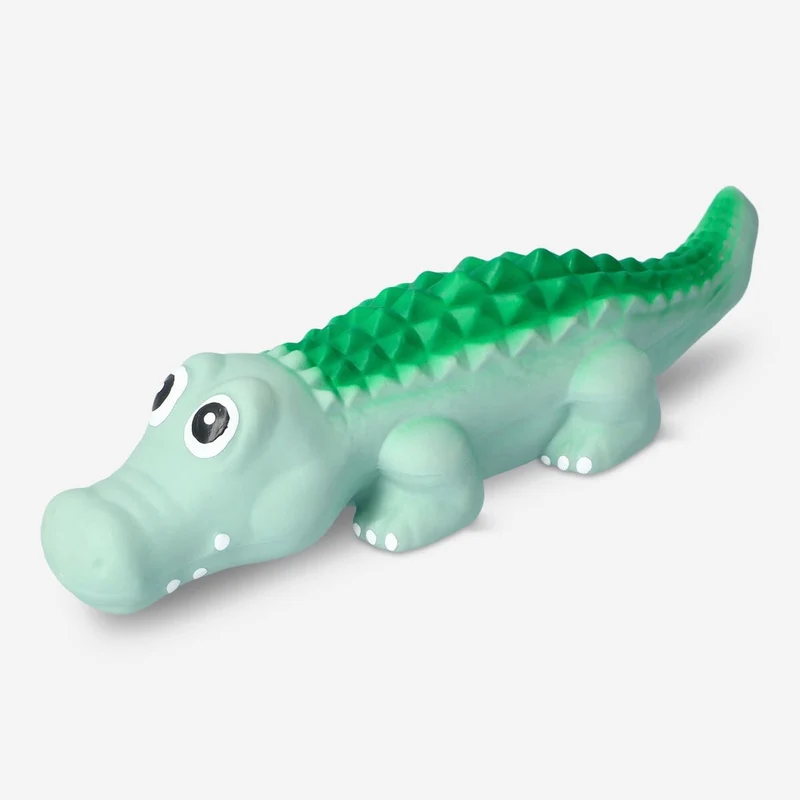 Pet chew toy
