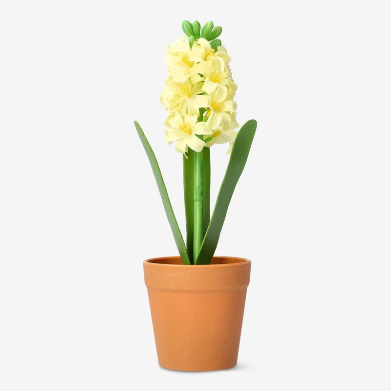 Decorative plant