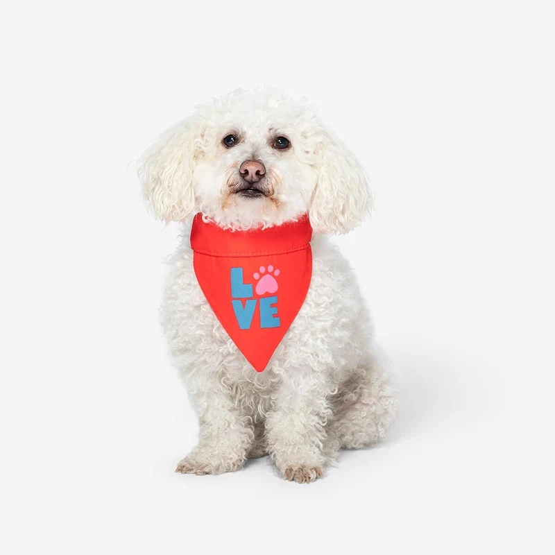 Pet accessories. One size