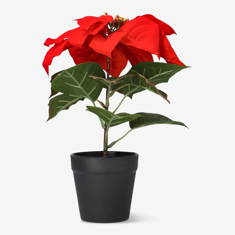 Decorative poinsettia. 30 cm