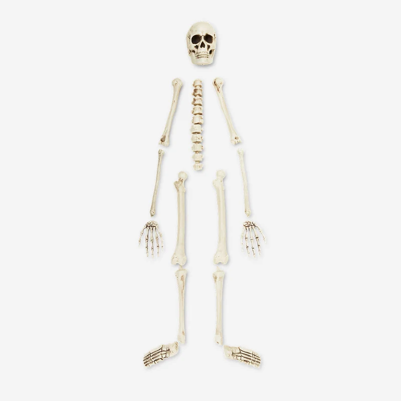 Skeleton set