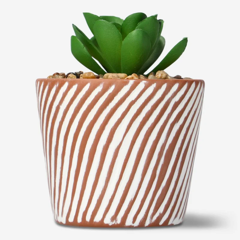 Decorative plant