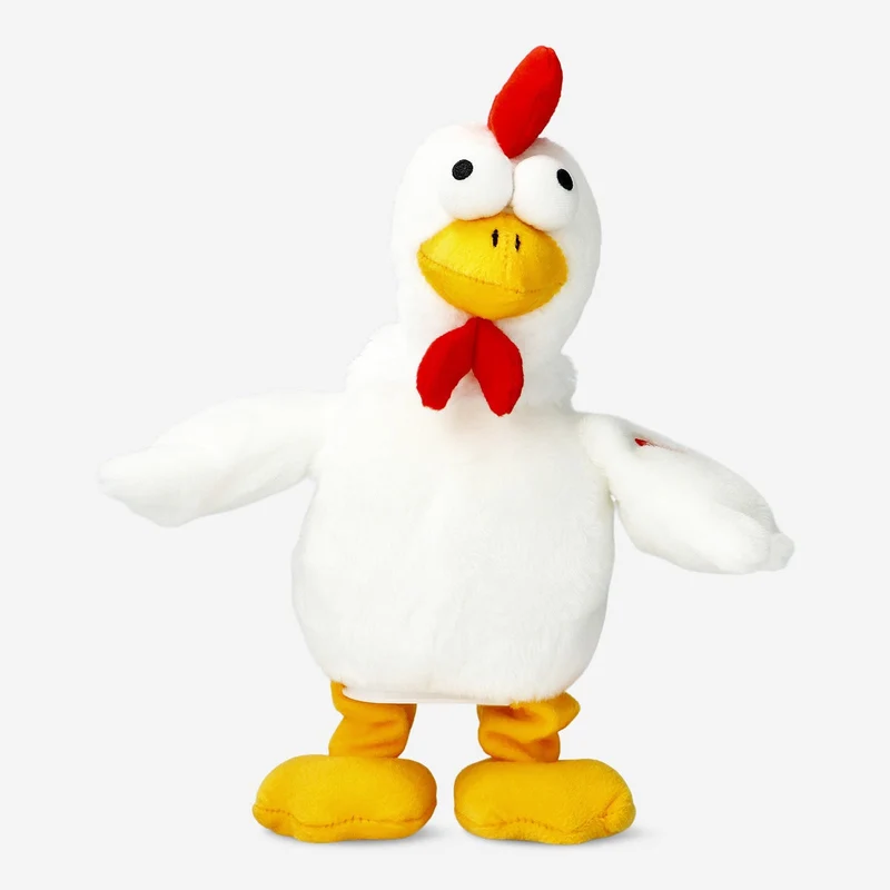 Rowdy rooster. Dances and sings