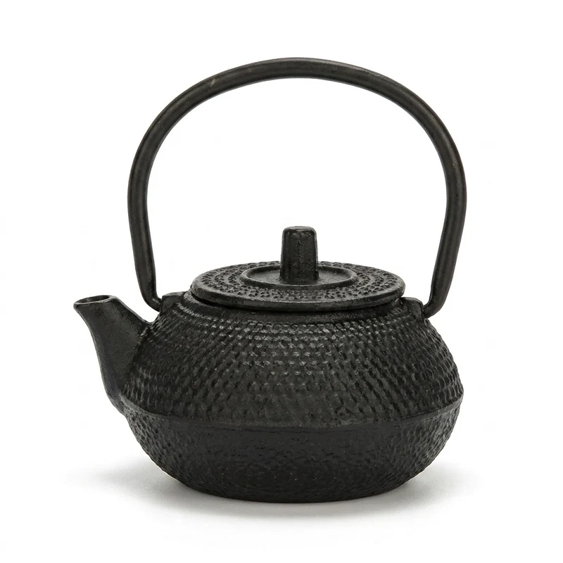 Cast Iron Teapot with Stainless Steel Mesh Filter — Induction Ready