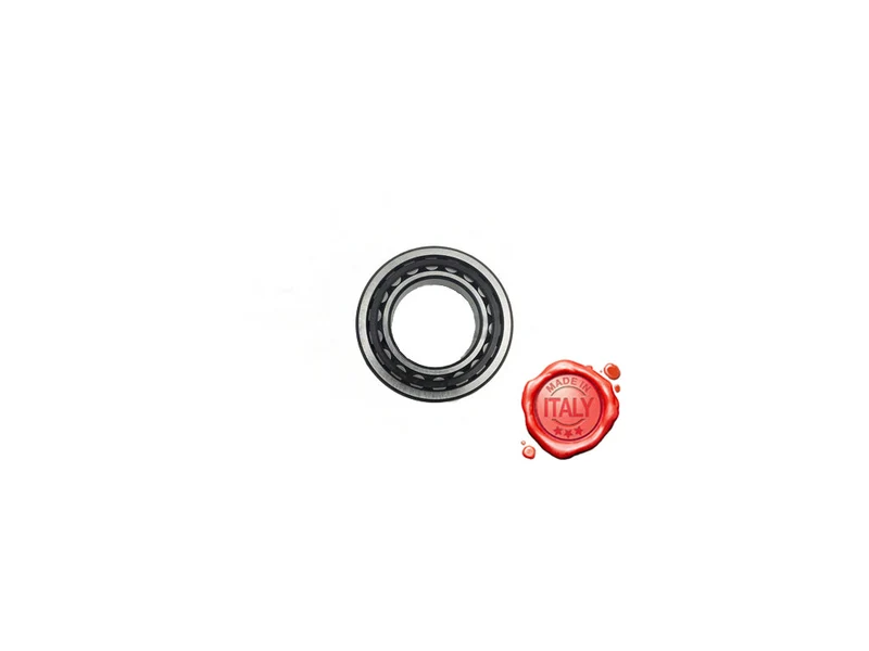 Cuscinetto a rulli ceg mod.nu1007