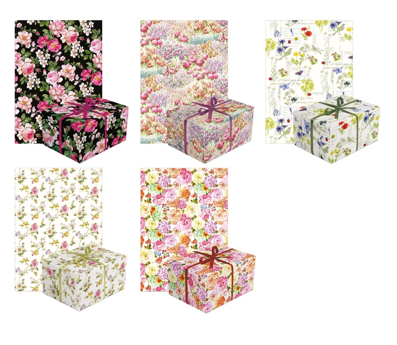 5 Sujets à 50x assor. Geschenkpapier Neutral 70x200 cm